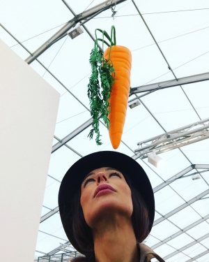 &quot;L&#039;ortaggio di Damocle” (John Baldessari, fake carrot 2016, Marian Goodman Gallery - NY)