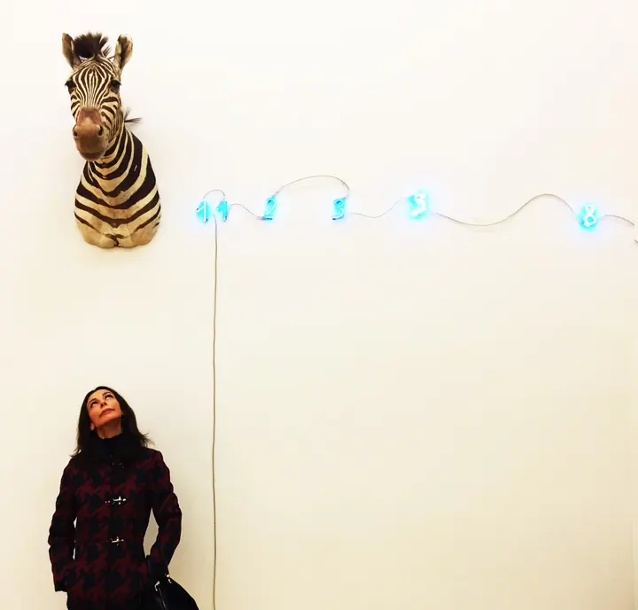 La Zebra è sempre in testa (Mario Merz, Zebra (Fibonacci))