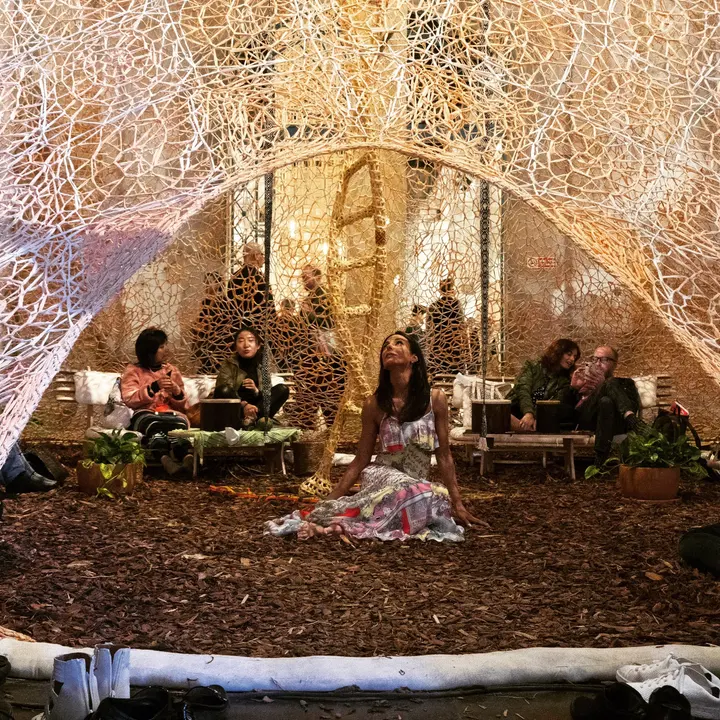 Shoeless – shoreless (Ernesto Neto - Um Sagrado Lugar (A Sacred Place))